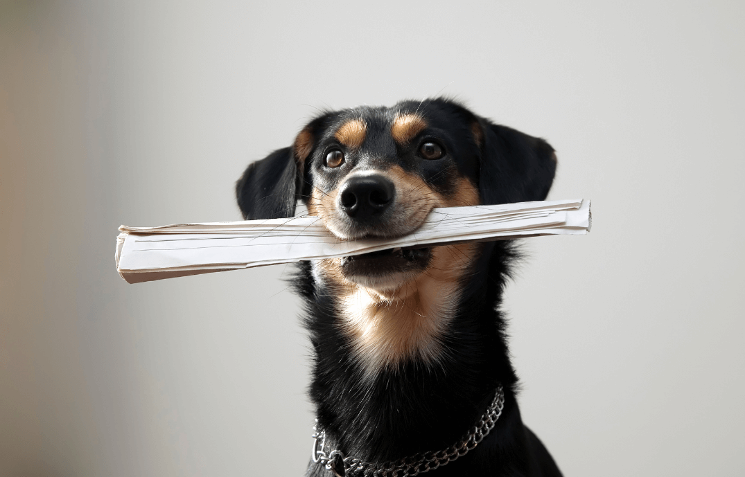 In case you missed our latest quarterly Business Accelerator Magazine